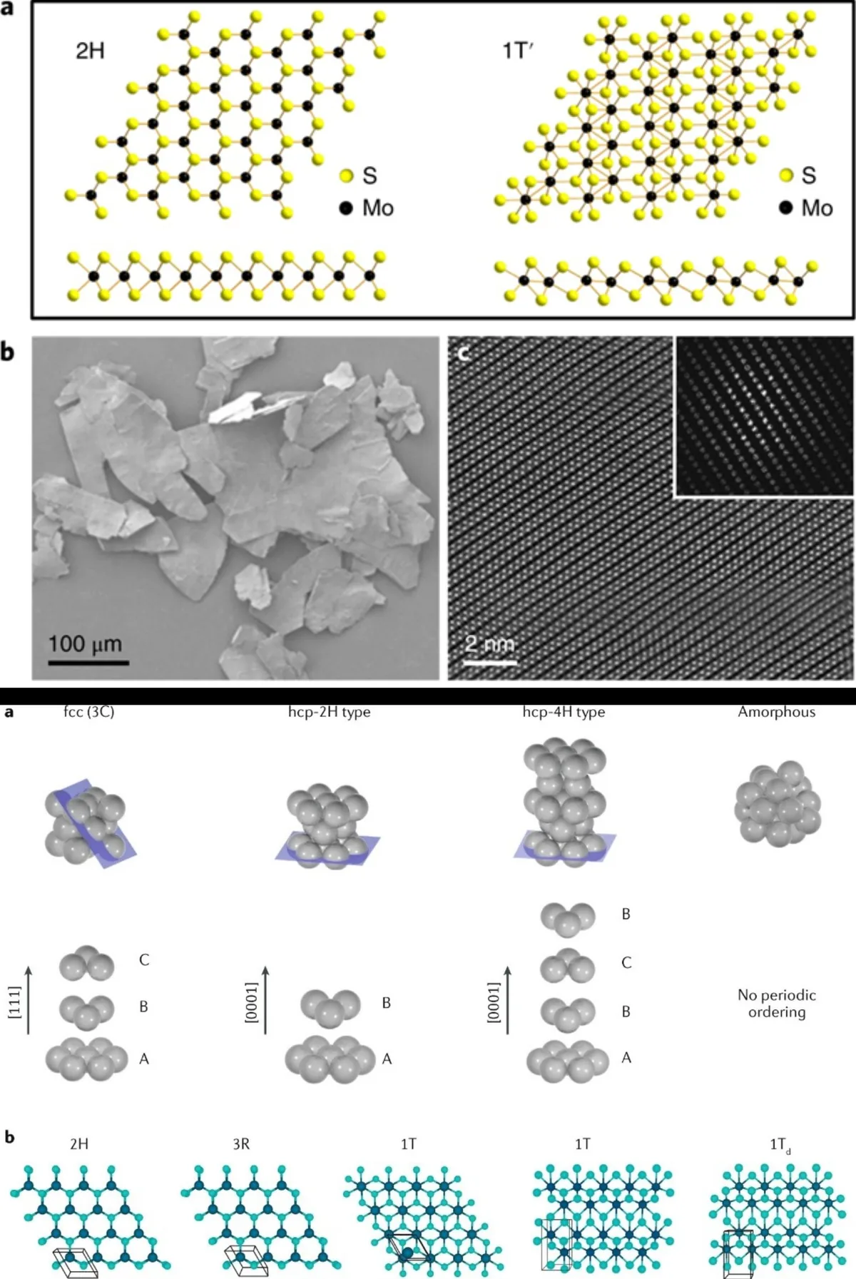 1. Phase Engineering of Nanomaterials (PEN)